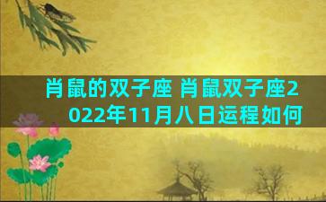 肖鼠的双子座 肖鼠双子座2022年11月八日运程如何